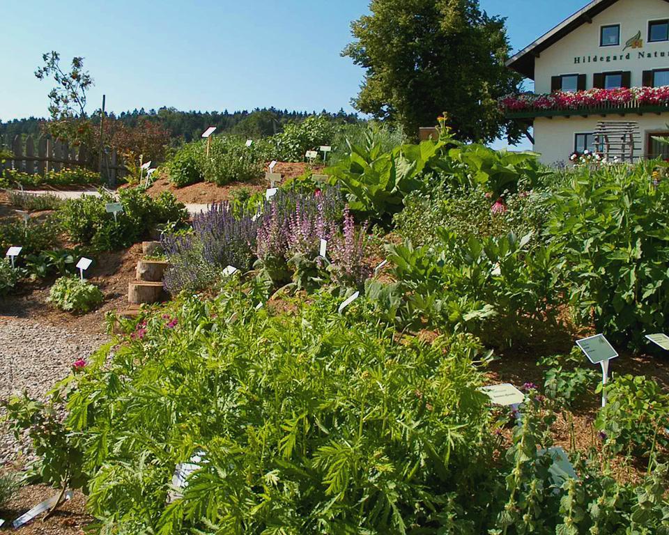 Hildegard Naturhaus Kirchberg bei Mattighofen Εξωτερικό φωτογραφία